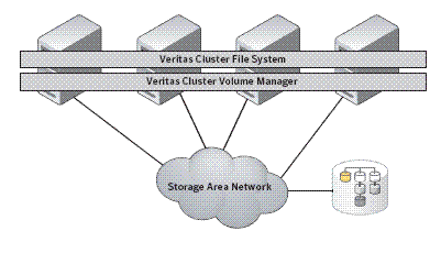 Veritas Storage Foundation Cluster File System